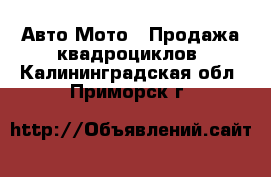 Авто Мото - Продажа квадроциклов. Калининградская обл.,Приморск г.